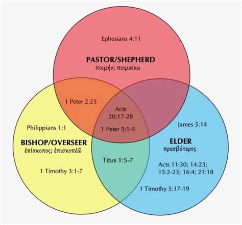 difference between overseer and elder.